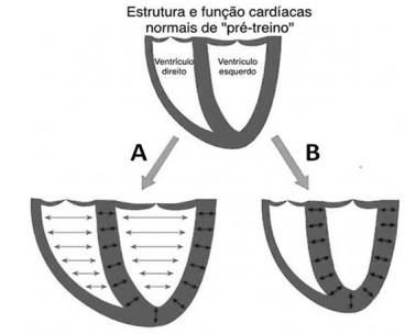 Enunciado 4642294-1