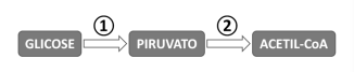 Enunciado 4682209-1
