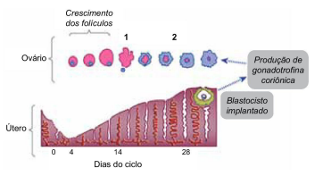 Enunciado 4686964-1