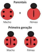 Enunciado 4687365-1