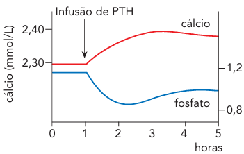 Alternativa 1-1