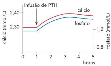 Alternativa 2-1