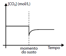 Enunciado 4648912-1
