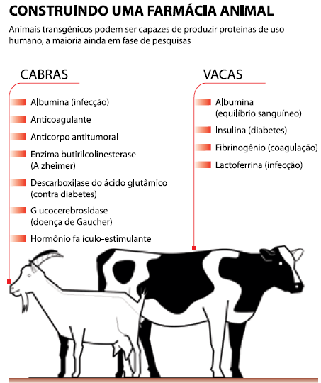 Enunciado 4654208-1