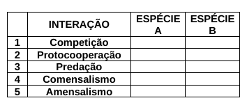 Enunciado 3148632-1