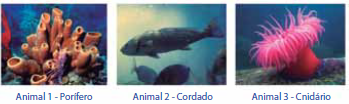 Enunciado 4654033-1