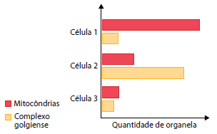 Enunciado 4648923-1