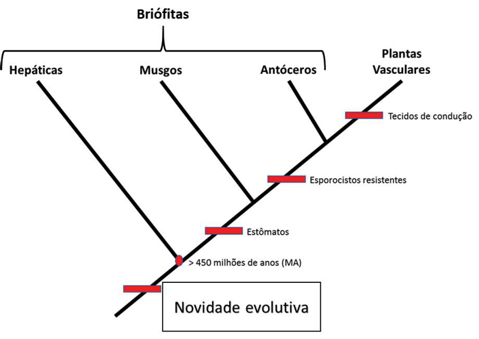 Enunciado 4677147-1