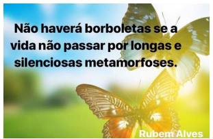 Enunciado 4648528-1