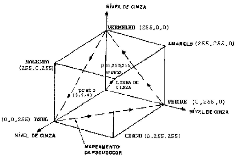 Enunciado 4475393-1