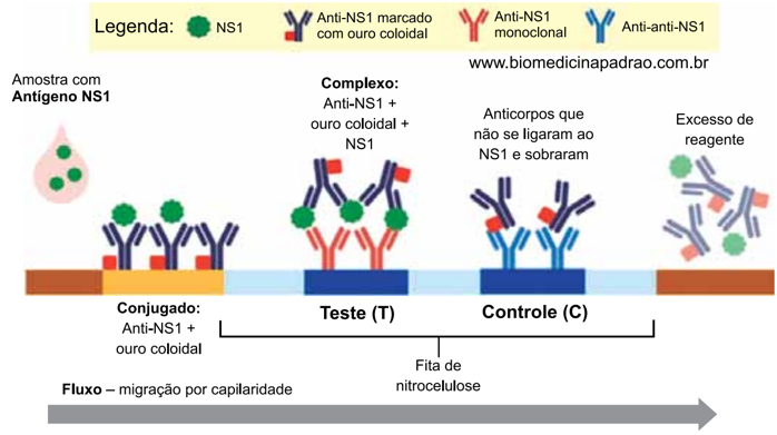 Enunciado 4687061-1