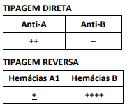 Enunciado 4793511-1
