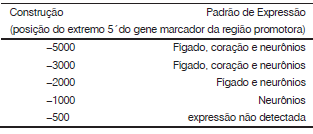 enunciado 389871-1