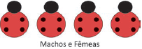 Alternativa 1-1