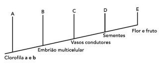Enunciado 4720541-1