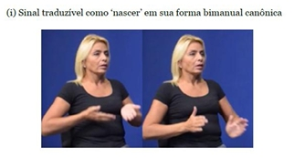 Enunciado 4748962-1