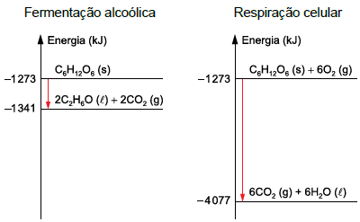 Enunciado 4713462-1