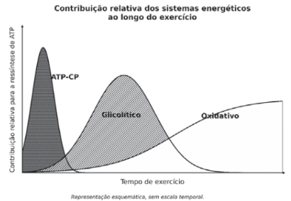 Enunciado 4694483-1
