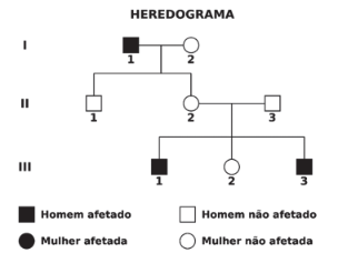 Enunciado 4694407-1