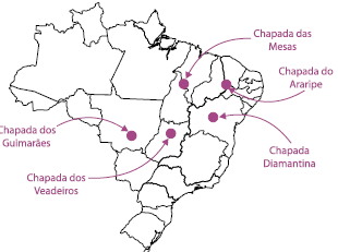 Enunciado 4654470-1