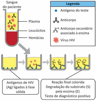 Enunciado 4687737-1