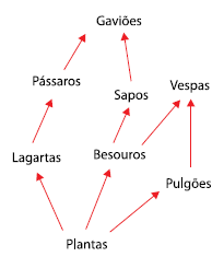 Enunciado 4649007-1
