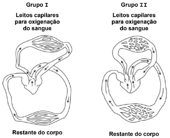 Enunciado 4702975-1