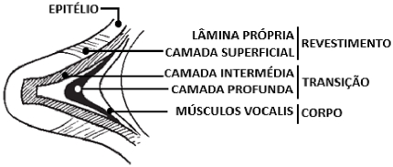 Enunciado 4655235-1