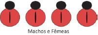 Alternativa 2-1
