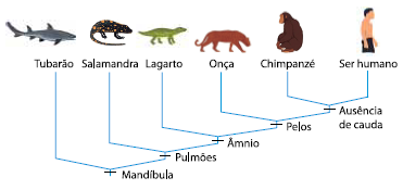 Enunciado 4649009-1