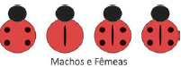 Alternativa 5-1