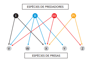 enunciado 1307202-1