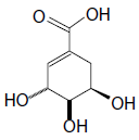 Enunciado 4655009-1