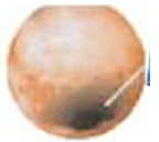 Alternativa 1-1