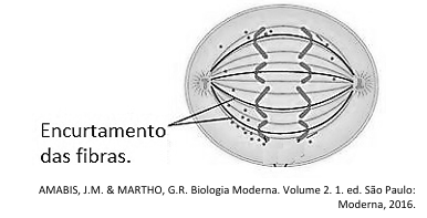 Enunciado 4615587-1