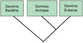 Enunciado 4650580-1