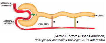 Enunciado 4655174-1