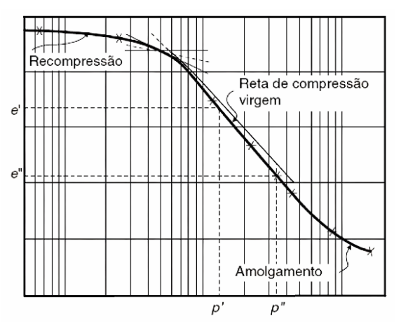 Enunciado 4646282-1