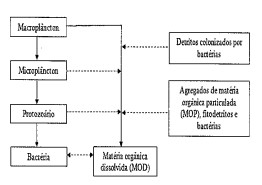 Enunciado 4720937-1