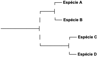 Enunciado 4630917-1
