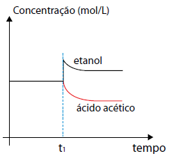 Alternativa 2-1