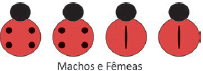 Alternativa 4-1