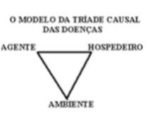 Enunciado 4591392-1