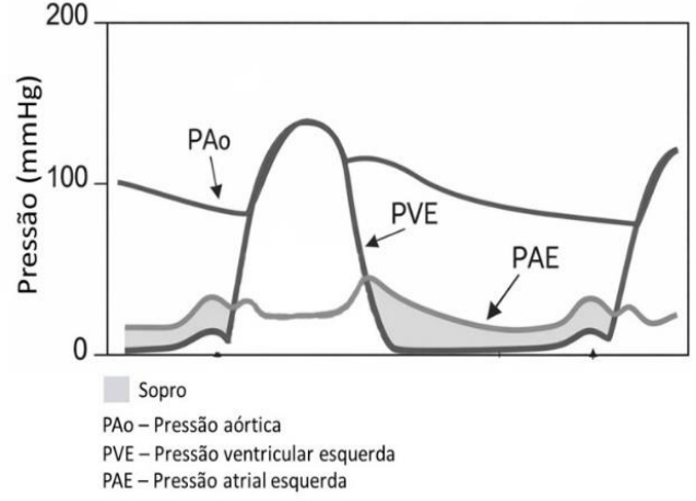 Enunciado 4650981-1