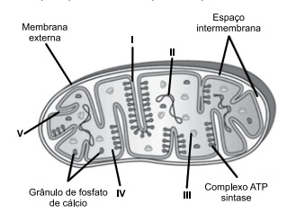 Enunciado 4726082-1