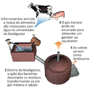 Enunciado 4687374-1