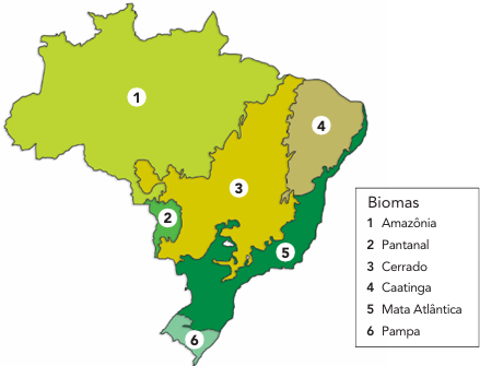 Enunciado 4688060-1