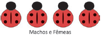 Alternativa 3-1