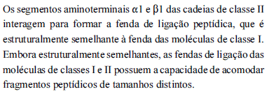 Enunciado 3424672-1