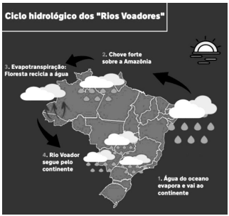 Enunciado 4659640-1